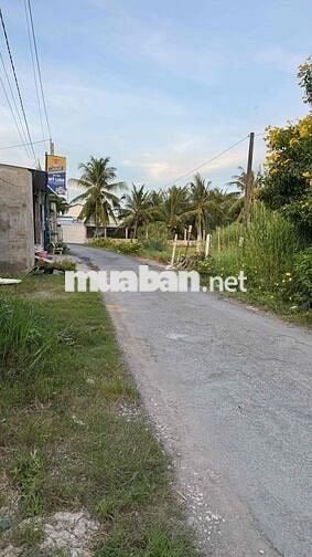 Dư Miếng Đất Nền 165m2 Thổ Cư Ngay Trung Tâm Long Mỹ - Long Hồ