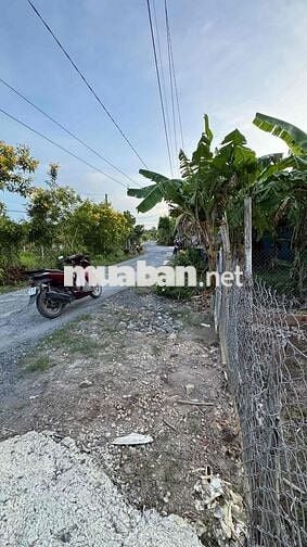 Dư Miếng Đất Nền 165m2 Thổ Cư Ngay Trung Tâm Long Mỹ - Long Hồ
