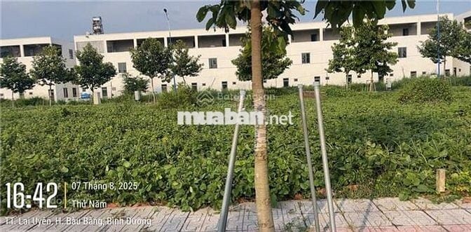 cần bán 190m2, ngay kcn cây trường, cách chợ trừ văn thố chỉ 300m
