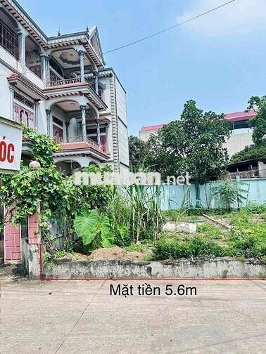 EM ĐĂNG BÁN LÔ ĐẤT HIỆP HOÀ GIÁ ĐẦU TƯ CHO AC SẴN TC CÔNG CHỨNG NGAY