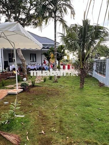 NHÀ VƯỜN GIÁ RẺ 1TY760 300M2 KHU VỰC THỚI HÒA BẾN CÁT, SỔ HỒNG RIÊNG