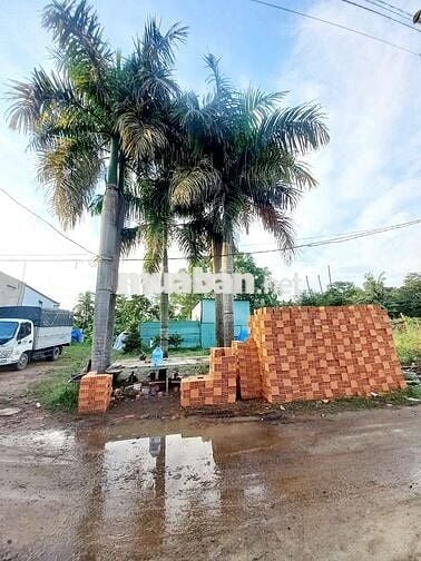 BÁN LÔ ĐẤT CHÁNH MỸ BÌNH DƯƠNG , ĐƯỜNG NHỰA 4M , 5×25 THỔ CƯ 74m2