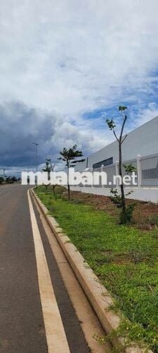 Kẹt vốn Kinh doanh chủ gửi bán nền Thổ cư Tân Phước cấp sát Đồng Xoài.