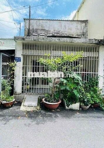 Nhà đang sơn. Bàn giao nhà mới.  Cho thuê nhà mới phường 6 hẻm xe tải