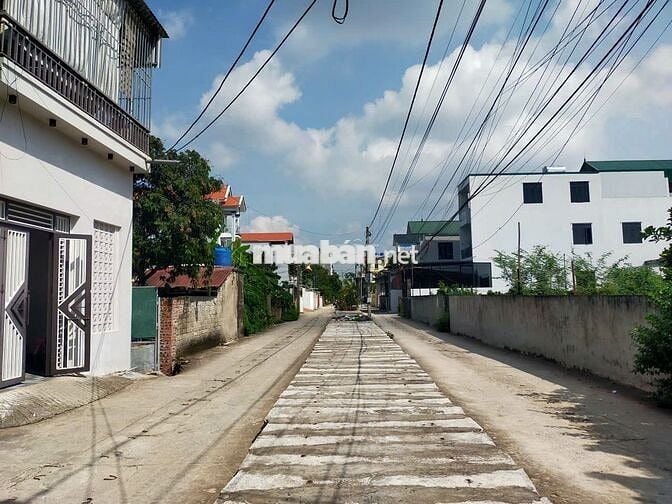 Cần bán nhanh đất trục đường chính Phượng Đồng, Phụng Châu.