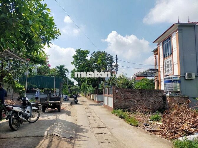 Cần bán nhanh đất trục đường chính Phượng Đồng, Phụng Châu.