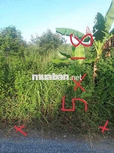 Bán Đất Lai Uyên Bàu Bàng Chính Chủ