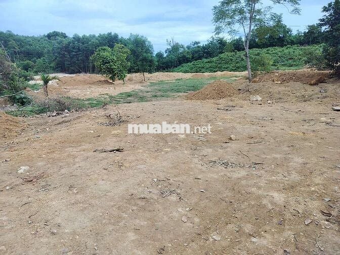 bán nhà vườn khủng  bám suối 16.000m cób400m đất ở phù hợp nghĩ dưỡng