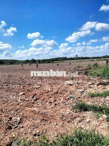 Chủ kẹt tiền sang lại 2 mẫu đất ngay sau lưng nhà thờ Trừ Văn Thố