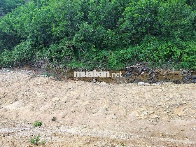 bán nhà vườn khủng  bám suối 16.000m cób400m đất ở phù hợp nghĩ dưỡng
