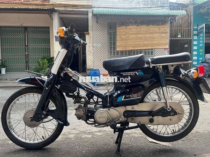 các dòng cub nhật