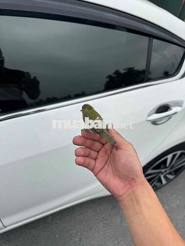 Hyundai Accent 2022 1.4 AT - 90000 km
