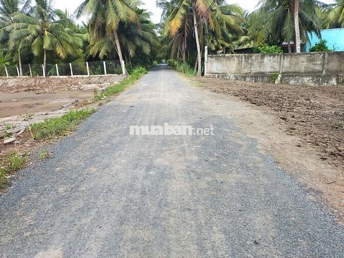 2 nền xã Bình Ninh gần Mỹ Tho 15 phút, gần chợ, trường học cấp 1,2 1km