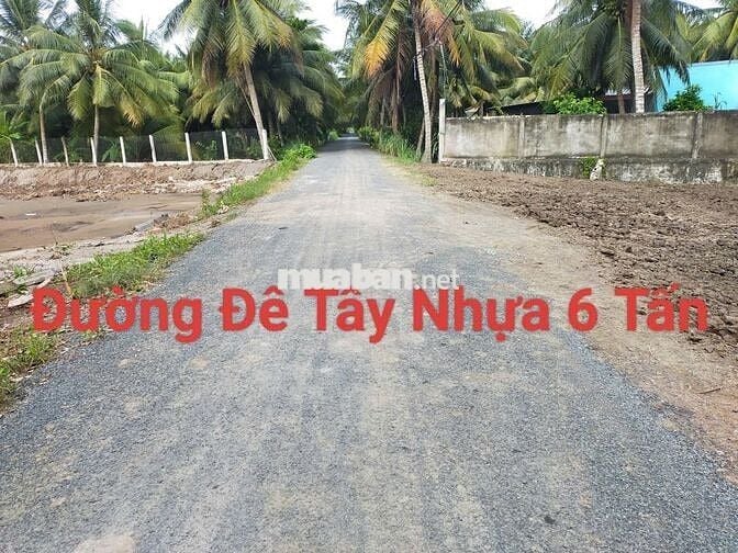 2 nền xã Bình Ninh gần Mỹ Tho 15 phút, gần chợ, trường học cấp 1,2 1km