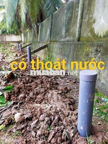 2 nền xã Bình Ninh gần Mỹ Tho 15 phút, gần chợ, trường học cấp 1,2 1km