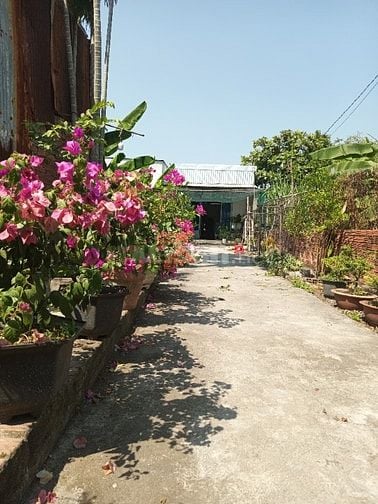 Bán ,đất nhà phường Thạnh Xuân 5x38 nhà 5x14