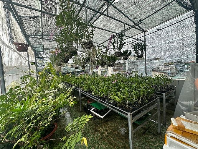 HXH 100m2(4.6x22m) 4 tầng btct 6 PN 240m2 sàn xd Lê Đức Thọ, p15, GV