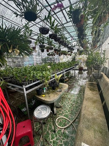 HXH 100m2(4.6x22m) 4 tầng btct 6 PN 240m2 sàn xd Lê Đức Thọ, p15, GV
