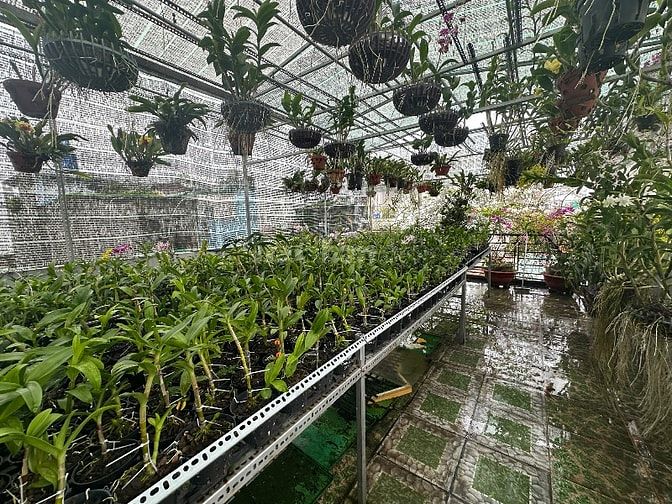 HXH 100m2(4.6x22m) 4 tầng btct 6 PN 240m2 sàn xd Lê Đức Thọ, p15, GV