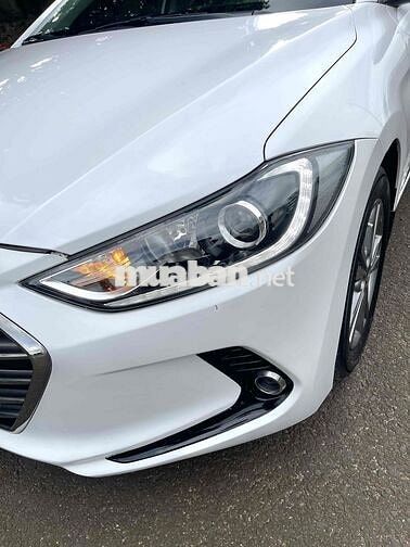 Siu cọp Hyundai Elantra 2016 1.6 AT