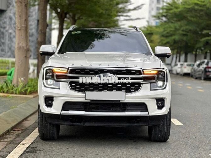 EVEREST PLATINUM 4*4  2025
