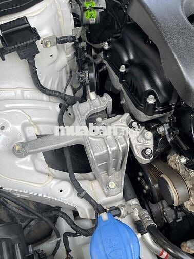 Siu cọp Hyundai Elantra 2016 1.6 AT