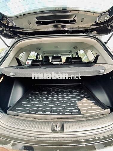 Kia New Seltos Luxury - VIN24