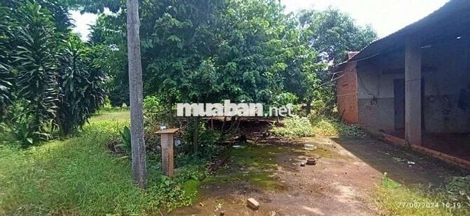 VƯỜN 6400M2 - 59M MẶT TIỀN NHỰA CẦN BÁN !