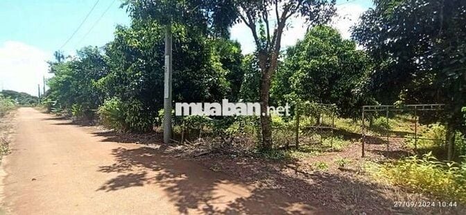 VƯỜN 6400M2 - 59M MẶT TIỀN NHỰA CẦN BÁN !