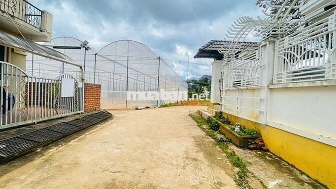 🌸 bán nhà 2 mặt tiền, 200m2 full thổ cư– Trung tâm Đà Lạt mộng mơ 🌸
