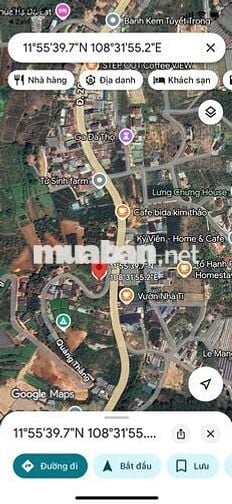 cần bán gấp lô đất xây biệt phủ phường xuân trường