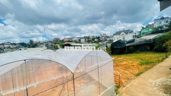 🌸 bán nhà 2 mặt tiền, 200m2 full thổ cư– Trung tâm Đà Lạt mộng mơ 🌸