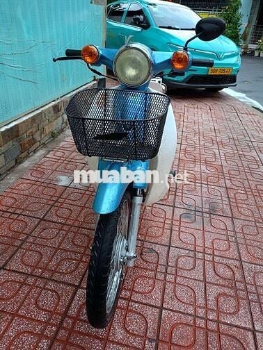 Cub Daelim 50cc BSTP