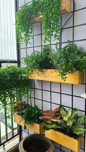 C/c Harmona, Tân BÌnh: 78m2, 2p ngủ, 2wc, Nội thất, 11tr/th