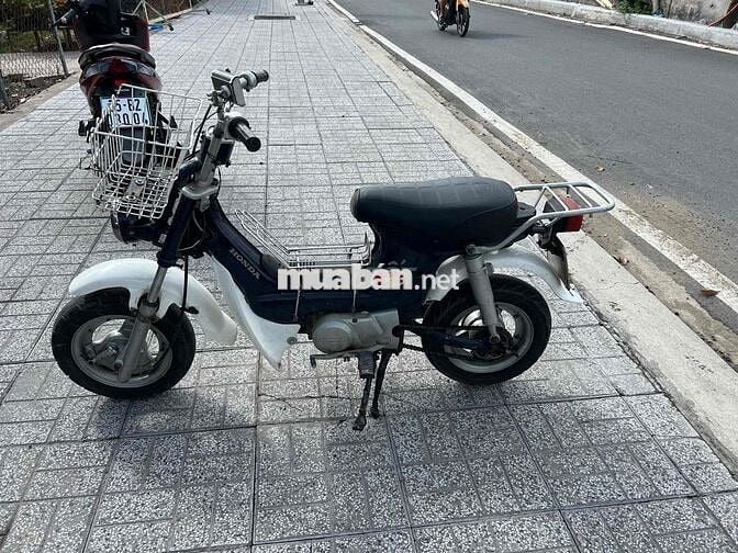 xe 50 máy êm ru
