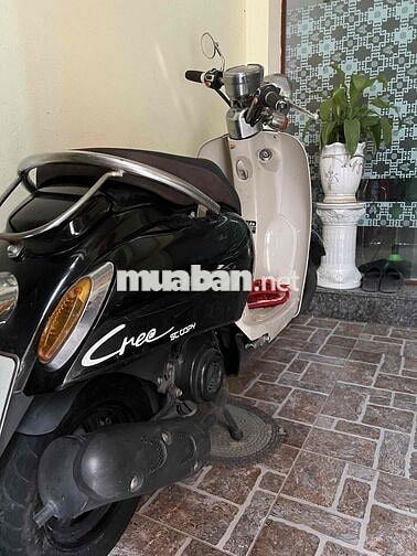 xe Zin chất. mua về chỉ việc đổ xang .