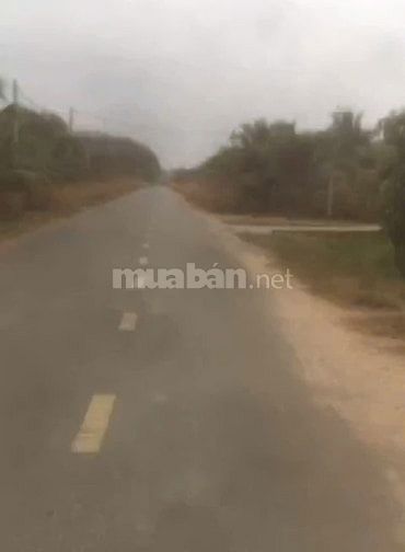 1,5 mẫu 2 mặt tiền đường nhựa. Ngay gần cổng KCN Phước Đông. 40tr (1m)