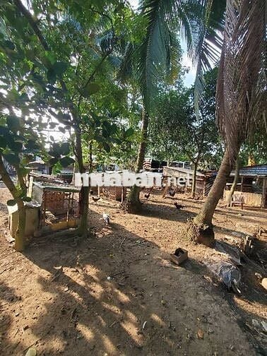 ĐẤT MẶT TIỀN VIEW SÔNG - KD ĐA NGÀNH NGHỀ - CƠ HỘI VÀNG CHO NHÀ ĐẦU TƯ