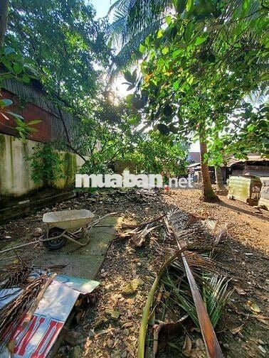 ĐẤT MẶT TIỀN VIEW SÔNG - KD ĐA NGÀNH NGHỀ - CƠ HỘI VÀNG CHO NHÀ ĐẦU TƯ