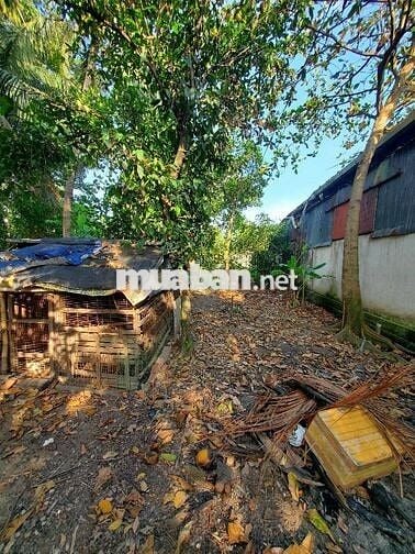 ĐẤT MẶT TIỀN VIEW SÔNG - KD ĐA NGÀNH NGHỀ - CƠ HỘI VÀNG CHO NHÀ ĐẦU TƯ