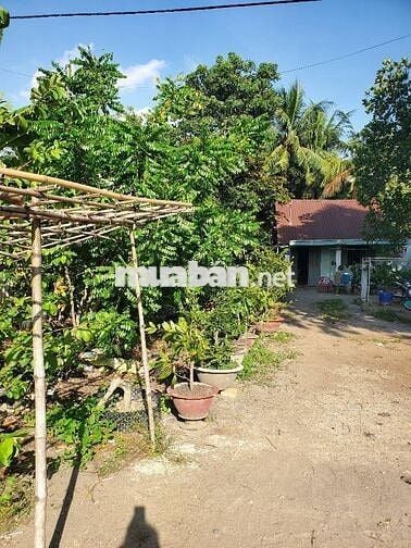 ĐẤT MẶT TIỀN VIEW SÔNG - KD ĐA NGÀNH NGHỀ - CƠ HỘI VÀNG CHO NHÀ ĐẦU TƯ