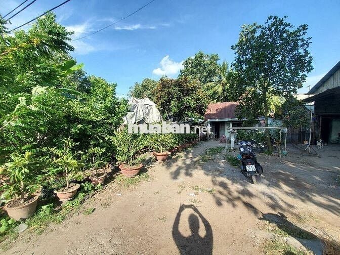 ĐẤT MẶT TIỀN VIEW SÔNG - KD ĐA NGÀNH NGHỀ - CƠ HỘI VÀNG CHO NHÀ ĐẦU TƯ