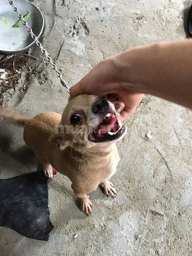 kv Bách Kinh Xây 27B/91 Trại Cá Trương Định Hai Bà Trưng 