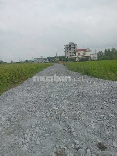 Bán 120m2 Thổ Cư , Xã Hoà Khánh Đông, Giá 650 triệu, Đức Hoà , Long An