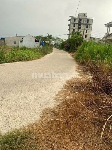 Bán 120m2 Thổ Cư , Xã Hoà Khánh Đông, Giá 650 triệu, Đức Hoà , Long An