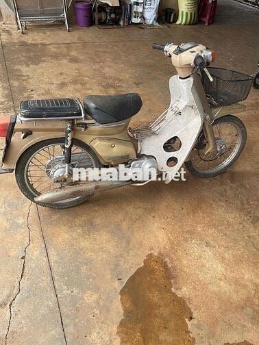cub 82/50