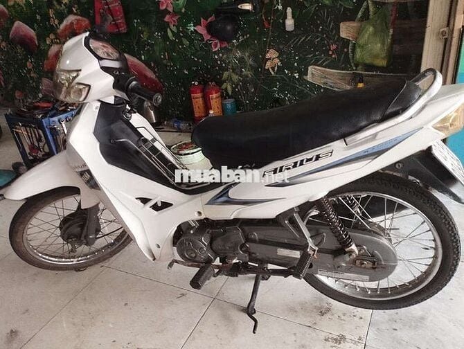 Xe 50cc dành cho học sinh