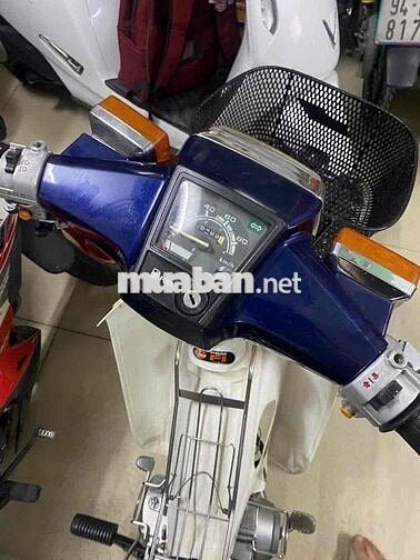 Cup 50cc