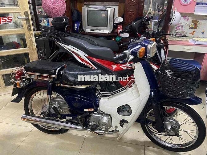 Cup 50cc