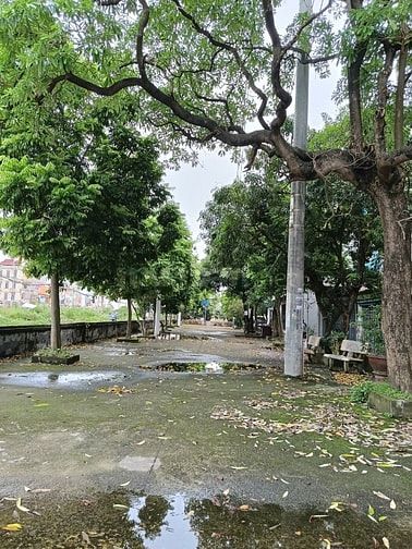 ĐẤT VÀNG VĨNH QUỲNH - Ô TÔ ĐỖ CỬA - HIẾM CÓ KHÓ TÌM 